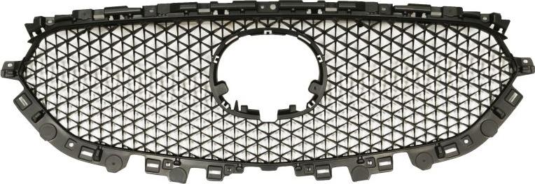 BLIC 6502-07-3496991P - Решітка радіатора autocars.com.ua