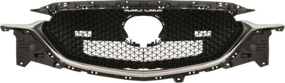 BLIC 6502-07-3496993P - Решітка радіатора autocars.com.ua