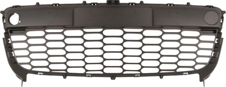 BLIC 6502-07-3497910P - Решітка вентилятора, буфер autocars.com.ua