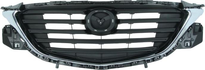 BLIC 6502-07-3499994P - Решітка радіатора autocars.com.ua