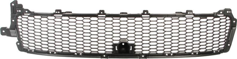 BLIC 6502-07-3750910P - Решітка вентилятора, буфер autocars.com.ua