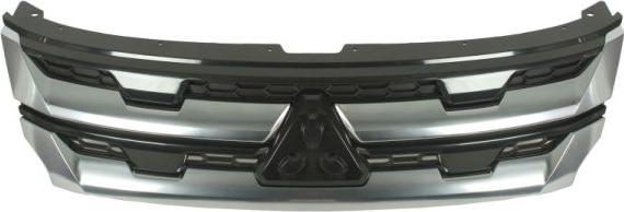 BLIC 6502-07-3751996P - Решітка радіатора autocars.com.ua