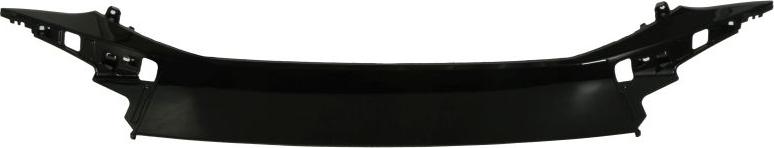 BLIC 6502-07-3754992P - Облицювання / захисна накладка, буфер autocars.com.ua