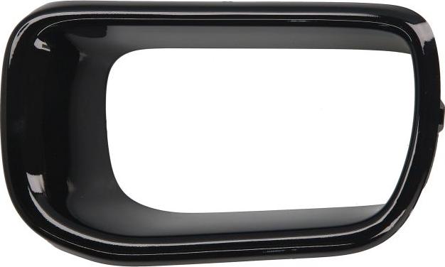 BLIC 6502-07-4002917P - Решітка вентилятора, буфер autocars.com.ua