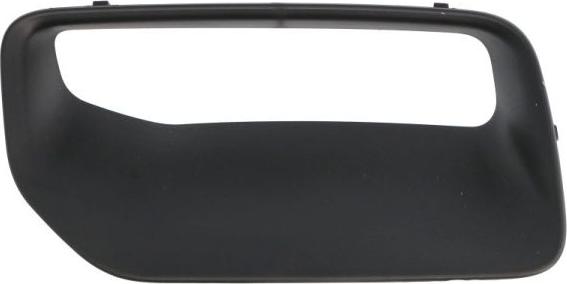 BLIC 6502-07-4004911P - Решітка вентилятора, буфер autocars.com.ua