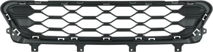 BLIC 6502-07-4004914PP - Решітка вентилятора, буфер autocars.com.ua