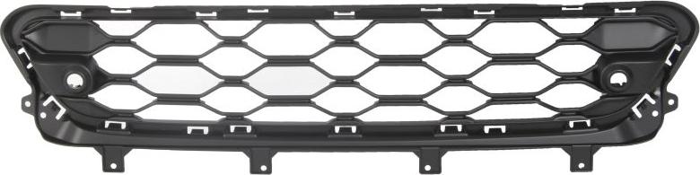 BLIC 6502-07-4004914P - Решітка вентилятора, буфер autocars.com.ua