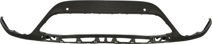 BLIC 6502-07-5079991P - Облицювання / захисна накладка, облицювання радіатора autocars.com.ua