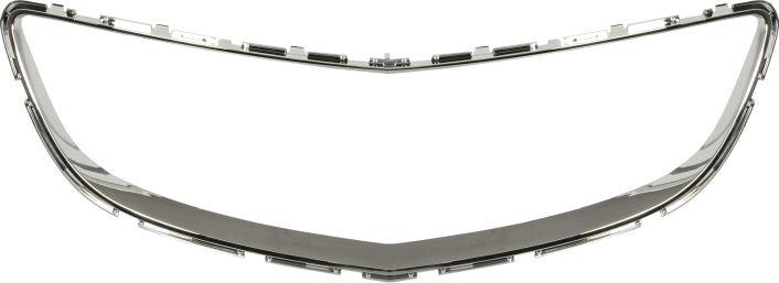 BLIC 6502-07-5079997P - Облицювання / захисна накладка, облицювання радіатора autocars.com.ua