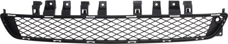 BLIC 6502-07-5079998P - Решітка вентилятора, буфер autocars.com.ua