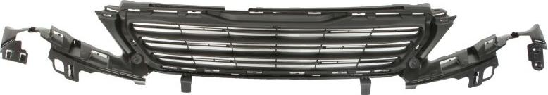 BLIC 6502-07-5519992P - Решітка радіатора autocars.com.ua