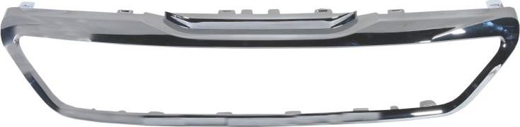 BLIC 6502-07-5519996P - Облицювання / захисна накладка, облицювання радіатора autocars.com.ua