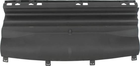 BLIC 6502-07-5724970P - Решітка вентилятора, буфер autocars.com.ua