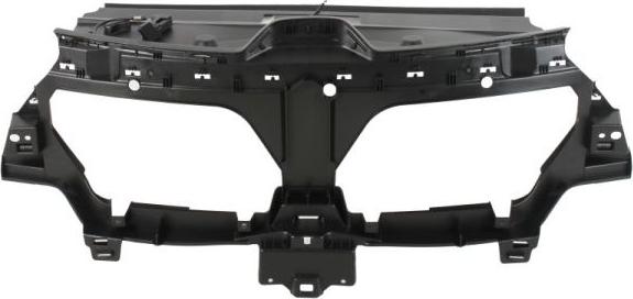 BLIC 6502-07-6015992P - Решітка радіатора autocars.com.ua