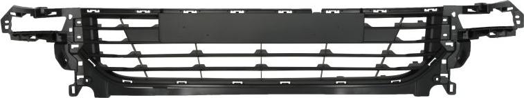 BLIC 6502-07-6033911Q - Решітка вентилятора, буфер autocars.com.ua