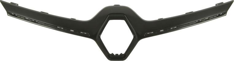 BLIC 6502-07-6048992P - Облицювання / захисна накладка, облицювання радіатора autocars.com.ua