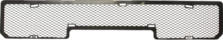 BLIC 6502-07-6435910P - Решітка вентилятора, буфер autocars.com.ua