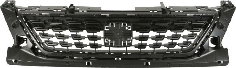 BLIC 6502-07-6619990Q - Решітка радіатора autocars.com.ua