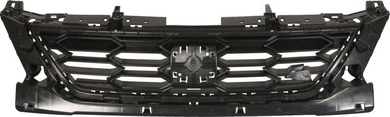 BLIC 6502-07-6619991P - Решітка радіатора autocars.com.ua