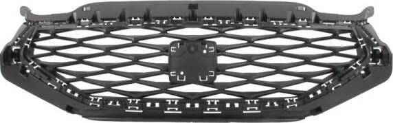 BLIC 6502-07-6626994P - Решітка радіатора autocars.com.ua