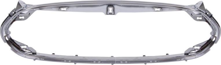 BLIC 6502-07-7707991P - Облицювання / захисна накладка, облицювання радіатора autocars.com.ua