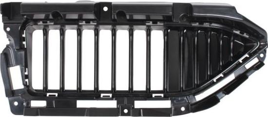 BLIC 6502-07-7800912P - Решітка вентилятора, буфер autocars.com.ua