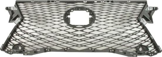 BLIC 6502-07-8123991P - Решітка радіатора autocars.com.ua