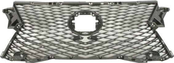 BLIC 6502-07-8123992P - Решітка радіатора autocars.com.ua