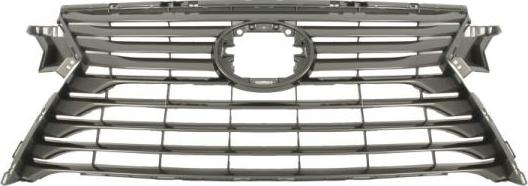 BLIC 6502-07-8123993P - Решітка радіатора autocars.com.ua