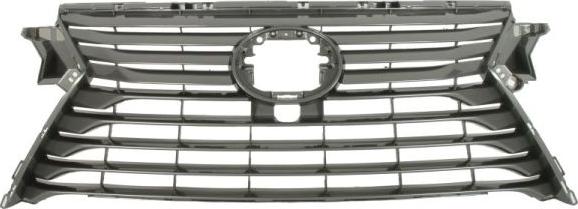 BLIC 6502-07-8123994P - Решітка радіатора autocars.com.ua