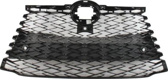 BLIC 6502-07-8126990P - Решітка радіатора autocars.com.ua