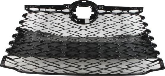 BLIC 6502-07-8126992P - Решітка радіатора autocars.com.ua