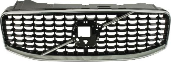 BLIC 6502-07-9058994P - Решітка радіатора autocars.com.ua