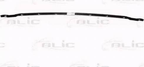 BLIC 6502-07-9521210P - Облицювання передка autocars.com.ua