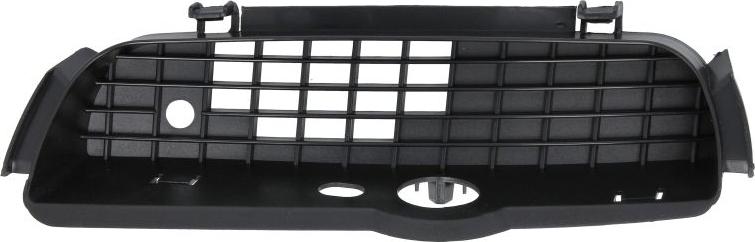 BLIC 6502-07-9542998P - Решітка вентилятора, буфер autocars.com.ua