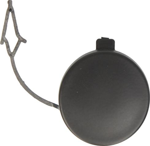 BLIC 6502-07-9550920Q - Заслінка, буксирний гак autocars.com.ua