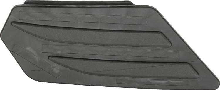 BLIC 6502-07-9565918P - Підніжка, накладка порога autocars.com.ua