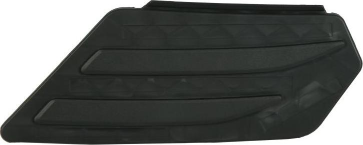 BLIC 6502-07-9565919P - Підніжка, накладка порога autocars.com.ua