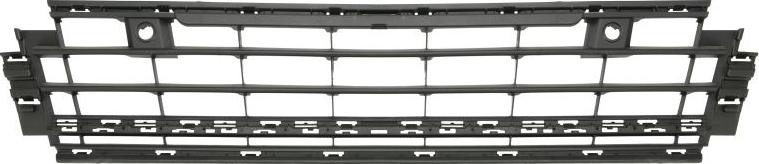 BLIC 6502-07-9572910P - Решітка вентилятора, буфер autocars.com.ua