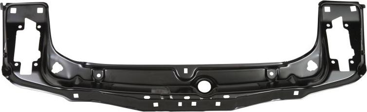 BLIC 6502-08-0063201P - Облицювання передка autocars.com.ua