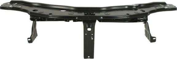 BLIC 6502-08-1305201P - Облицювання передка autocars.com.ua