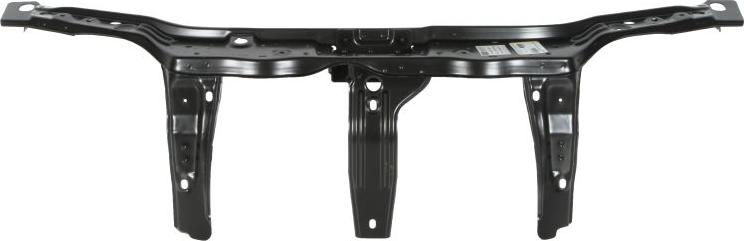 BLIC 6502-08-2014201P - Облицювання передка autocars.com.ua