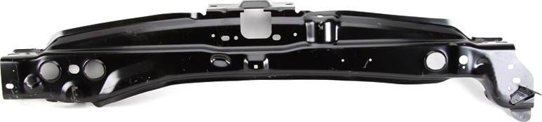 BLIC 6502-08-2510200P - Облицювання передка autocars.com.ua