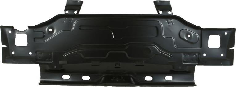 BLIC 6503-05-9524681P - Задня стінка autocars.com.ua