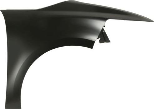 BLIC 6504-04-0538316P - Крило autocars.com.ua