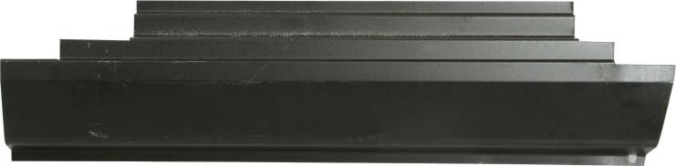 BLIC 6505-06-2096042K - Підніжка, накладка порога autocars.com.ua