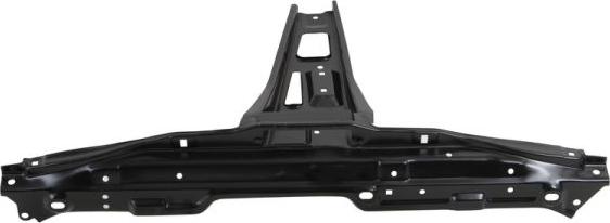 BLIC 6508-05-0016270P - Облицювання передка autocars.com.ua