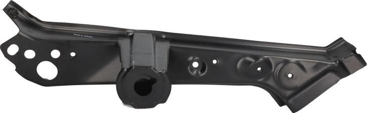 BLIC 6508-05-3756261P - Облицювання передка autocars.com.ua