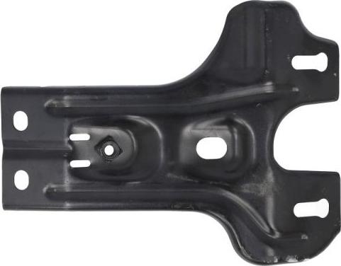 BLIC 6508-05-9550263P - Облицювання передка autocars.com.ua