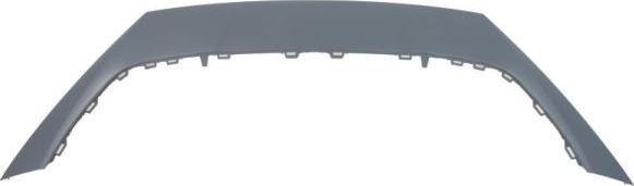 BLIC 6509-01-6626920P - Облицювання / захисна накладка, буфер autocars.com.ua